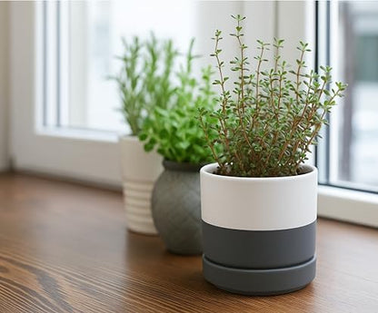 D'vine Dev 2-Pack Ceramic Pots with Saucers, White/Grey, 4.7 in, 94-V-B-6 | Modern Cylinder Design, Glazed Ceramic, Drainage Hole & Saucer Included, High Temperature Fired, Elegant Home Accent - color: White/Speckled Grey, size: 4.7 Inch