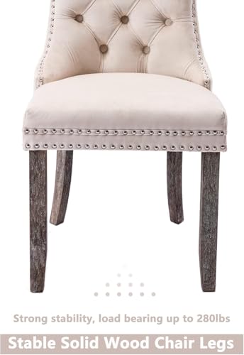 Virabit Velvet Dining Chairs, Tufted Upholstered Dining Chairs with Nailhead Back and Ring Pull Trim, Solid Wood Dining Chairs for Kitchen/Bedroom/Dining Room (Beige, Set of 6) - color: Beige, size: set of 6
