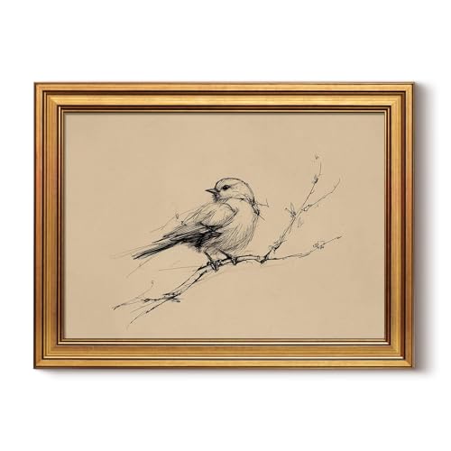HUARCEY Gold Framed Vintage Bird Sketch Spring Wall Art Decor 12"X16" | Antique Minimalist Natural Line Drawing Painting Print, Animal Pictures Canvas Artwork Farmhouse Rustic For Bathroom Office - color: Bird Hand-Drawn, size: 16"L x 12"W