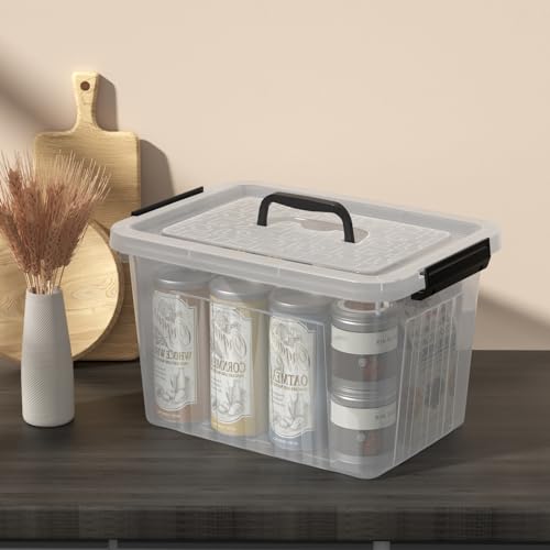 4-Pack Storage Bins with Latch Lids, Clear Plastic Storage Box, 18 L | BPA-Free, See-Through Organizing Solution, Latches, Convenient Top Handle, for Home Office Closet Use - size: 18 L