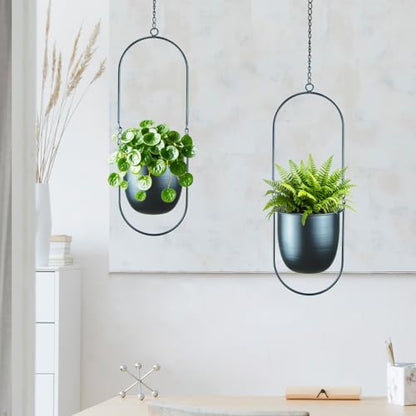 Modern Metal Hanging Planters with 6 Inch Pots and Sleek Chains - Set of 2 Oval Geometric Plant Hangers - Black Wall and Ceiling Mount Flower Holders for Indoor Décor - size: OVAL-6 INCH POT-V2