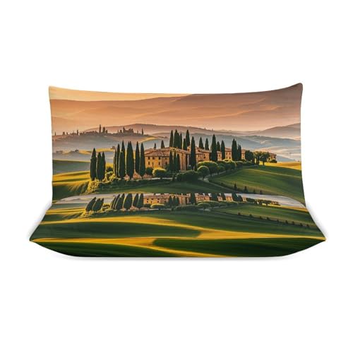 3 Piece Italy Tuscan Bedding Set - Ultra Soft Fabric & Double-Sided Print, Breathable Comforter Set with 1 Quilt Cover & 2 Pillowcases for Home Hotel, 102"x90" - size: 102"x90"