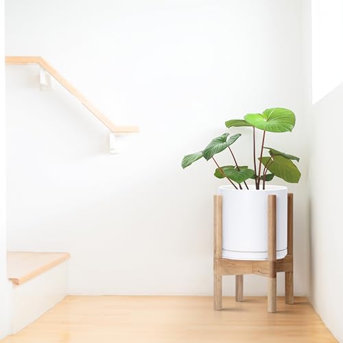 D'vine Dev Ceramic Pot with Natural Wood Stand, White, 8 in, 55-B-N-1 | Mid-Century Modern Design, Raised Plant Display, Solid Beech Wood Stand, Premium Craftsmanship, Sophisticated Home Decor - color: White Pot + Natural Stand, size: 8 Inch