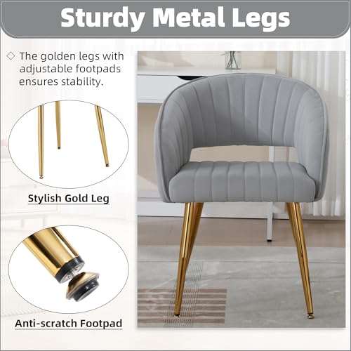 Velvet Home Office Desk Vanity Chair, No Wheels, Gold Legs, Grey | Modern Accent Chair with Stylish Stripe Design, Spacious‌ Soft Seat for Girls & Women Bedroom Makeup or Nail Table - color: Grey Velvet, No Wheels