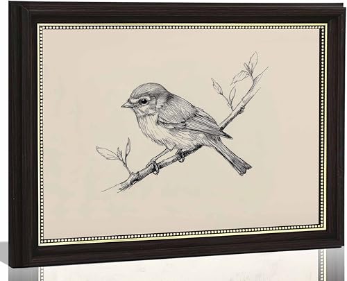 yunjulp Vintage Dark Brown Framed Wall Art, Minimalist Bird Sketch Canvas Art Prints Painting, Antique Nature Line Drawing Wall Art Picture, Rustic Beige Farmhouse Wall Decor for Bedroom,Desktop 12x16Inch - color: Bird Framed, size: 16"L x 12"W
