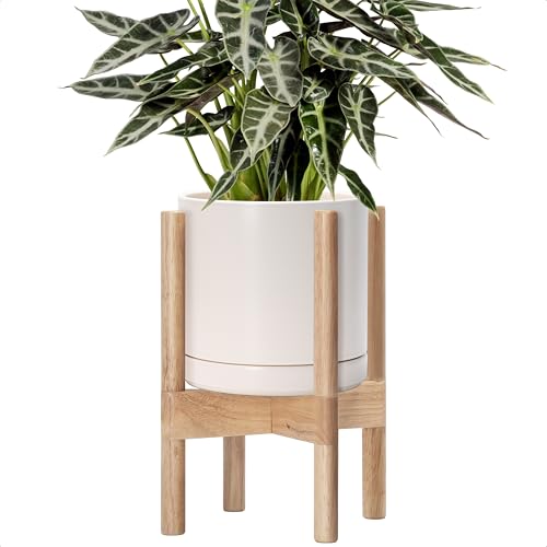 D'vine Dev Ceramic Pot with Natural Wood Stand, Oatmeal, 8 in, 55-B-N-8 | Mid-Century Modern Design, Raised Plant Display, Solid Beech Wood Stand, Premium Craftsmanship, Sophisticated Home Decor - color: Oatmeal Pot + Natural Stand, size: 8 Inch