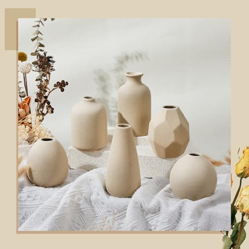 6 Pcs Mini Beige Ceramic Vase Set Modern Boho Bud Vases for Dried Flowers Plants Small Decorative Pottery Vases for Home Decor Wedding Bookshelf Coffee Table Centerpiece