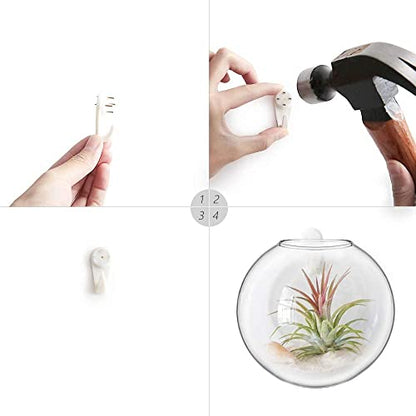 Mkono Wall Propagation Planters, 4 Pack Oblate Hanging Plant Holder Vase | Glass Terrariums Station, Hydroponic Indoor Flowers, Excludes Plants, Bathroom Living Room Office Decor, Gift for Plant Lover