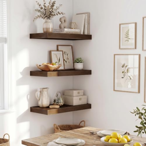 Fun Memories Wood Floating Shelves 20 Inch, 10 Inch Deep Shelves Wall Mount, Wall Shelves with Invisible Bracket, 20" Floating Shelves for Living Room Bathroom Bedroom, Walnut, Set of 3 - color: Walnut, size: 20W x 10D x 1.5H