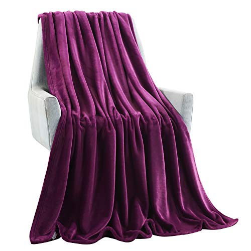 TASTHROW Large Flannel Fleece Throw Blanket, 50×70 Inch | Cozy Lightweight Thick Blanket - All Seasons Suitable for Women, Men and Kids (Two Pack, Purple) - color: Purple, size: Two Pack 50"x70"