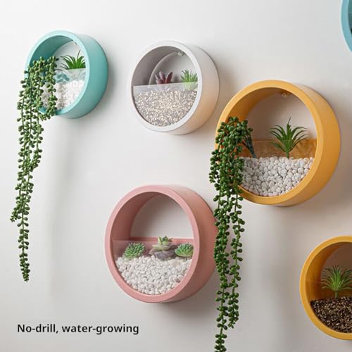 Hanging Flower Pots Vertical Gardening for Limited Spaces Simple Installation Modern Interior Design Creative Wall Planter