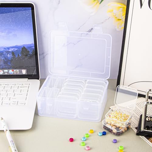 14 Pieces Plastic Storage Cases Mini Clear Storage Containers Transparent Boxes with Hinged Lid