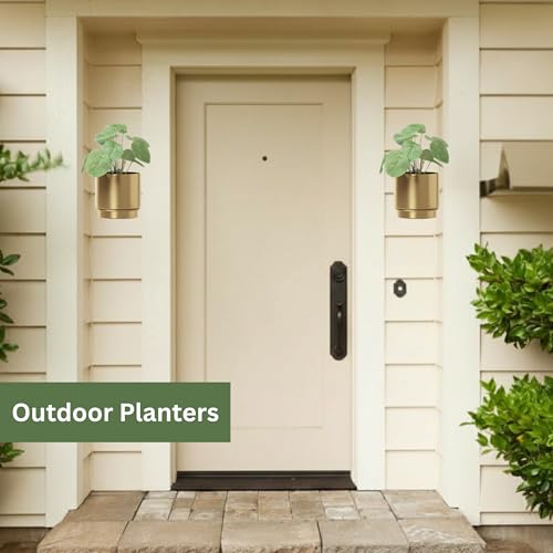 Self-Watering Gold Wall Planters Indoor (5.9 inch) | Metal Wall Vase, Wall Hanging Planter, Wall Plant Holder, Plant Hanger, Hanging Planter, Wall Plant - color: Gold