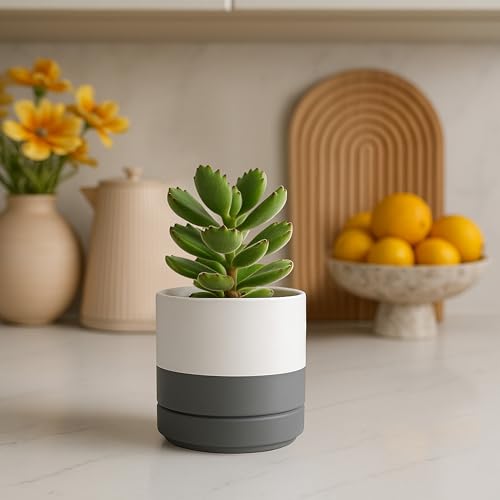 D'vine Dev 2-Pack Ceramic Pots with Saucers, White/Grey, 4.7 in, 94-V-B-6 | Modern Cylinder Design, Glazed Ceramic, Drainage Hole & Saucer Included, High Temperature Fired, Elegant Home Accent - color: White/Speckled Grey, size: 4.7 Inch