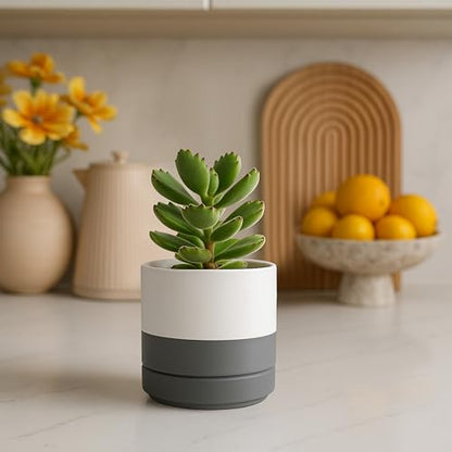 D'vine Dev 2-Pack Ceramic Pots with Saucers, White/Grey, 4.7 in, 94-V-B-6 | Modern Cylinder Design, Glazed Ceramic, Drainage Hole & Saucer Included, High Temperature Fired, Elegant Home Accent - color: White/Speckled Grey, size: 4.7 Inch