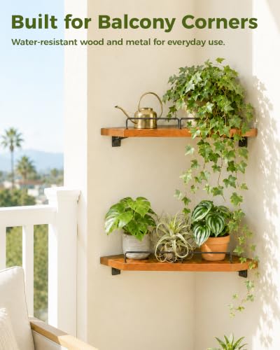 Bamworld Corner Shelf Wall Mounted Floating Corner Shelves 13 Inch Black Iron & Wood Plant Shelves Window Shelf for Plants 2 Pack
