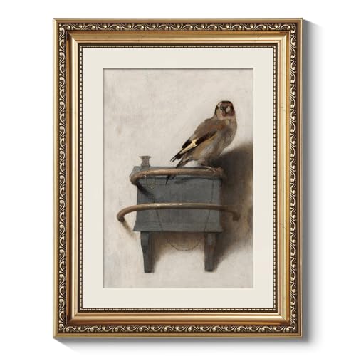 ARPEOTCY Vintage Gold Framed Bird Wall Art, Bedroom Bathroom Goldfinch Picture Wall Decor, Canvas Prints, Antique Picture Frame Still Life Paintings Home Farmhouse Cottage Decor, 11x14 Inch - color: The Goldfinch, size: 14"L x 11"W