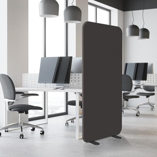 DECOLAB Room Divider Panel, Standing Privacy Partition Wall 29"x65", Iron | Free Standing. For Office, Studio Apartment, Classroom, Home, Restaurant. Scratch Resistance. - color: Iron