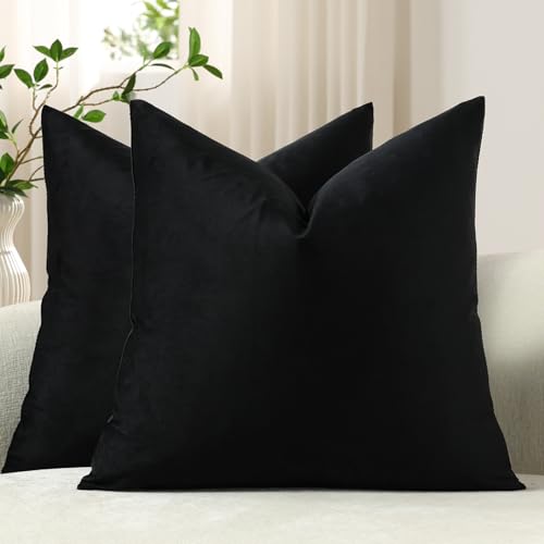 Euro Sham Covers 24x24 Black: Pack of 2 Cozy Soft Velvet Square Modern Luxury Decorative Throw Pillow Cases for Sofa Couch Living Room Bed Home Decor - color: Caviar, size: 24" x 24" (Pack of 2)