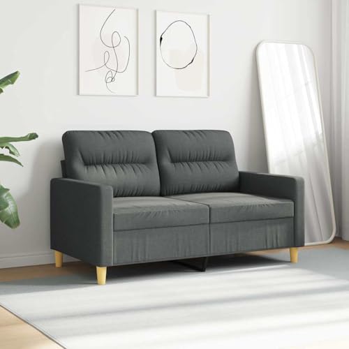 2-Seater Sofa, Modern LoveseatCouch for Small Spaces, Compact Dark Grey Polyester Fabric Settee with Pillows for Living Room, Apartment and Office, 54.3 Inch Wide - size: 2-Seater