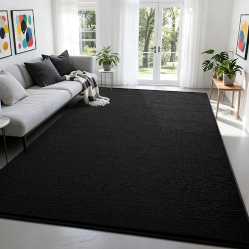 Nuttumico Large Modern Area Rugs for Bedroom Living Room, 4x6 Feet Black Rug, Thickened Memory-Foam Indoor Carpets, Minimalist Rug for Boys Girls, Soft, Non-Slip and Machine-Washable - color: Black, size: 4' X 6' (Rectangular)