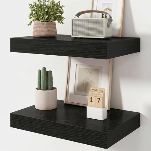 20 Inch Floating Shelves, 12'' Deep Black Shelves for Wall Set of 2 | Invisible Brackets, Engineered Wood, Mounting Hardware Included, 35LBS, Bathroom, Laundry Room, Kitchen, Living Room - color: Black, size: 20W x 11.6D x 2H, 2 Pack