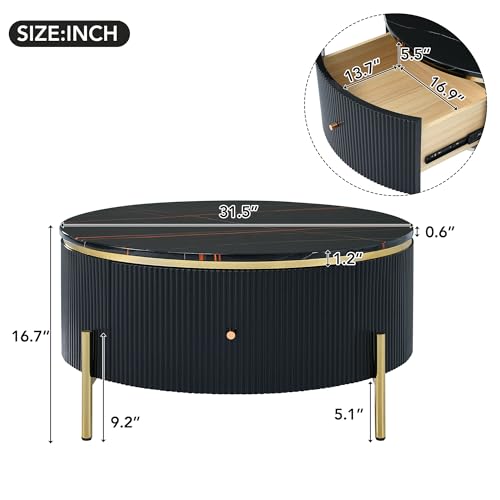 31.5" Round Coffee Table with Storage, Modern Round Coffee Table with 2 Drawers Storage Accent Table Round Black End Table for Living Room,Black - color: Black, size: 31.5"x31.5"x16.9"