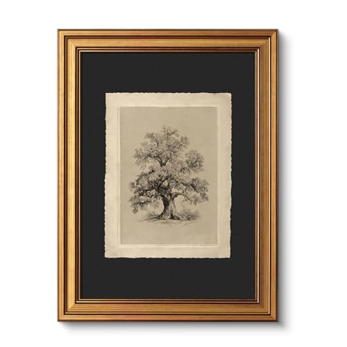 VIYYIEA Vintage Botanical Sketch Rustic Farmhouse Wall Art Decor for Living Room Bedroom Study, Aesthetic Classical Oak Tree Illustration Pictures,12x16inch,Gold Framed Canvas Prints Paintings - color: dark brown Oak Tree, size: 16"L x 12"W