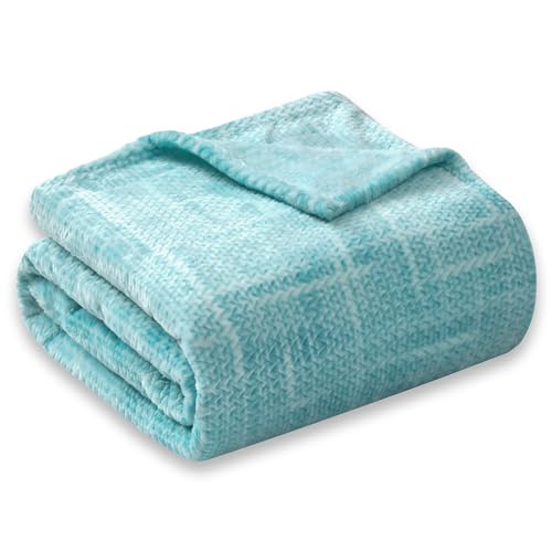COOVA Fleece Bed Blanket Twin Size, Super Soft and Cozy 3D Jacquard Warm Blankets, Lightweight and Fuzzy Throw for Couch, Sofa, Chair, Giftable (Light Green, 60"x80") - color: Graphite Light Green, size: 60"x80"