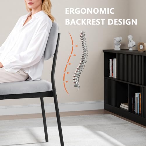 Einhomn Upholstered Dining Chairs Set, Modern Stackable Dining Room Chairs with Soft Velvet Backrest, Kitchen Chairs with Sturdy Metal Legs for Living Room, Restaurant, Set of 2,Light Grey - color: Light Grey