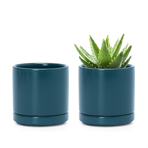 D'vine Dev 2-Pack Ceramic Pots with Saucers, Teal, 3.5 in, 94-V-A-9 | Modern Cylinder Design, Glazed Ceramic, Drainage Hole & Saucer Included, High Temperature Fired, Elegant Home Accent - color: Teal, size: 3.5 Inch