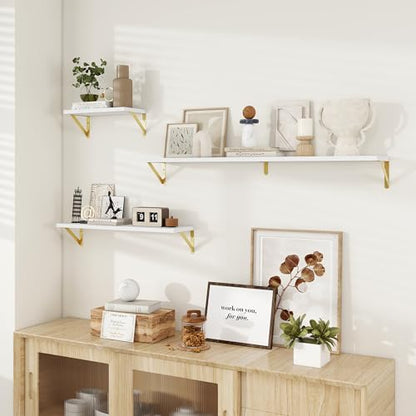 Dreamland Wall Mounted Floating Shelves Set of 2, 16x8, White&Gold | Engineered Wood, Visible Bracket, Large Storage, Hold Up to 30lbs, Living Room, Bathroom, Bedroom, Kitchen - color: White&gold, size: 16"W x 8"D