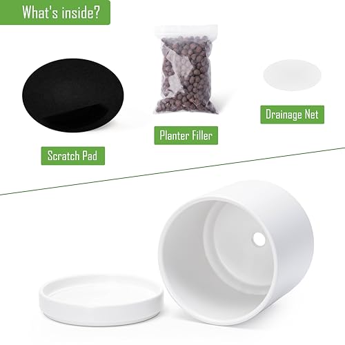 D'vine Dev 2-Pack Ceramic Pots with Saucers, White, 6.5 in, 94-V-C-1 | Modern Cylinder Design, Glazed Ceramic, Drainage Hole & Saucer Included, High Temperature Fired, Elegant Home Accent - color: White, size: 6 Inch