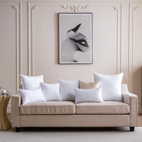 12 x 20 Pillow Insert Set of 2 Down Alternative Throw Pillow Inserts Small Lumbar Decorative Pillow White Rectangle Pillows Stuffing for Living Room Couch Bed Sofa Interior Cushions - size: 12 X 20 Inches Set of 2