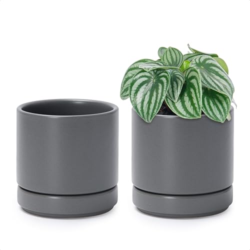 D'vine Dev 2-Pack Ceramic Pots with Saucers, Grey, 4.7 in, 94-V-B-3 | Modern Cylinder Design, Glazed Ceramic, Drainage Hole & Saucer Included, High Temperature Fired, Elegant Home Accent - color: Gray, size: 4.7 Inch