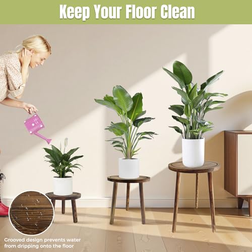 3-Pack Wood Plant Stands Indoor for 6-12 Inch Pots | Multiple Mid-Century Modern Stool, Tall Corner Planter Table for Living Room, Balcony & Office