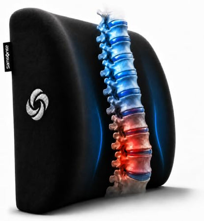 Samsonite Lumbar Support Pillow for Office Chair and Car Seat, Perfectly Balanced Memory Foam, Versatile Use Lower Back Cushion, Black Plush - color: Black Plush