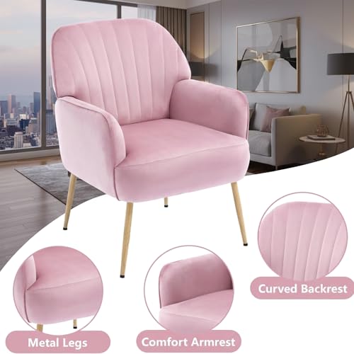 GDFStudio 25" Velvet Accent Chair with Arms and Back, Modern Shell-Shaped Upholstered Barrel Chairs, Small Comfy Reading Chair Lounge Chairs with Solid Legs for Living Room Bedroom Office Cafe, Pink - color: Pink
