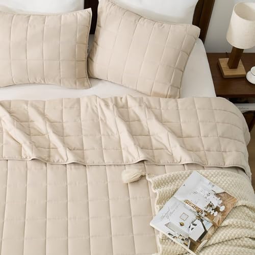 EMME Quilts Queen Size Bedding Sets, Beige Bedspread Soft Lightweight Pre-Washed Bed Set, 3 Piece Cozy Reversible Microfiber Bed Coverlet with Pillow Sham(Square Pattern,90"x90") - color: 03-beige (Squares Pattern), size: Full/Queen(90" x 90")