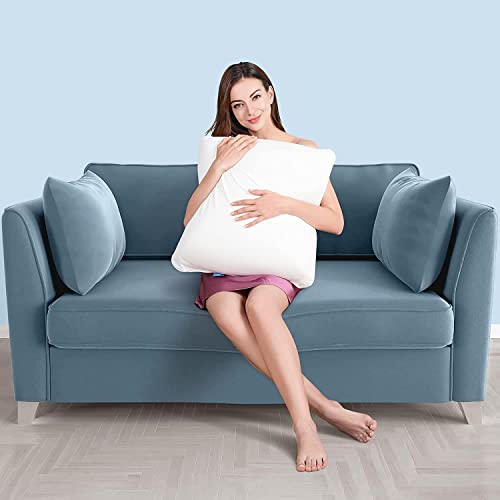 AM AEROMAX 12x32 Memory Foam Throw Pillow Insert, Rectangular Lumbar, White | Long accent shape decorates bed/sofa/couch | full pillow-cover look | resists sagging | comfortable to lean on - color: White, size: 12x32 Inch