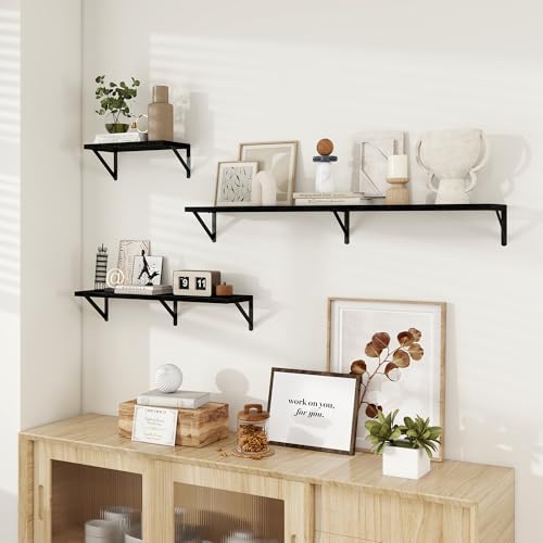 Dreamland Wall Mounted Floating Shelves Set of 2, 16x8, Black | Engineered Wood, Visible Bracket, Large Storage, Hold Up to 30lbs, Living Room, Bathroom, Bedroom, Kitchen - color: Black, size: 16"W x 8"D