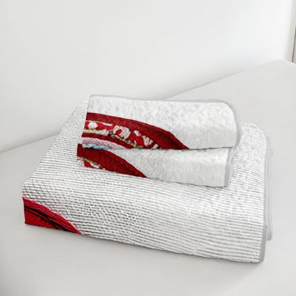 AILONEN Red Knitted Heart Quilt Set Queen Size,Heart Reversible Bedding Sets,Romantic Moment Bedspread Coverlet with 2 Pillowcases,3-Piece,Soft Lightweight Microfiber - color: Love53, size: Queen