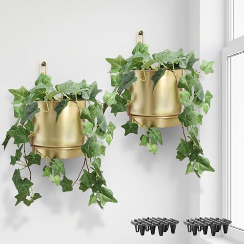 Self-Watering Gold Wall Planters Indoor (5.9 inch) | Metal Wall Vase, Wall Hanging Planter, Wall Plant Holder, Plant Hanger, Hanging Planter, Wall Plant - color: Gold