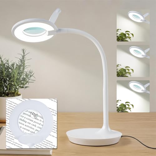 3X+6X Magnifying Glass with Light and Stand, Dimmable LED Magnifying Lamp | Flexible Gooseneck, Hands Free Magnifier, Magnification Lamp for Elderly Craft Hobby Painting Sewing Close Work,Weighted Base - color: White