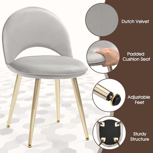 Vanity Chair with Adjustable Back, Gray Velvet Vanity Stool Chair | Upholstery Armless Makeup Stool with Gold Metal Legs for Bedroom Living Room Kitchen Dinning Room (Gold and Gray) - color: Gold and Gray