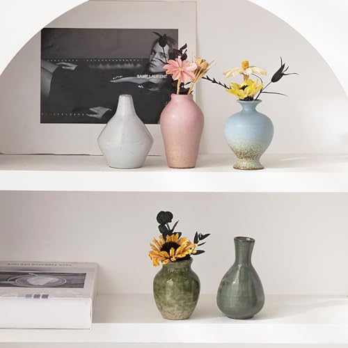 Ceramic Bud Vase Set of 5, Gradient Glaze Mini Small Vases | Ideal for living room, dining table, office desk, bedroom, fireplace mantle decor, or housewarming gift.