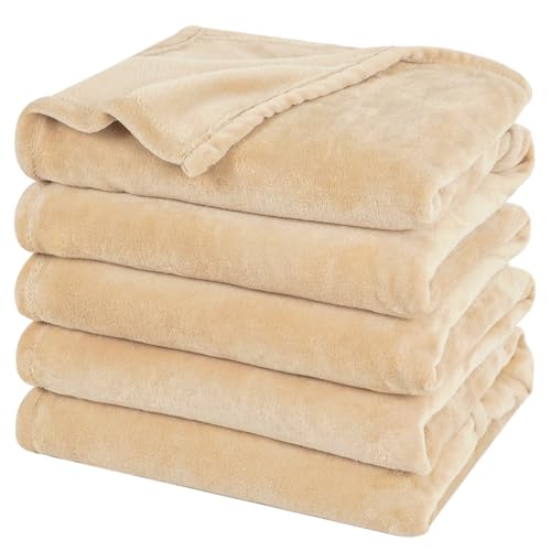 PHF Fleece Blanket Oversized King 120x120-300G Lightweight Warmth, Beige | Soft Plush Microfiber Bed Blanket, Anti-Static Breathable All Season, Cozy for Bed Family Travel, Gifts for Women Men - color: Beige, size: 1 Piece Oversized King(120" X 120")