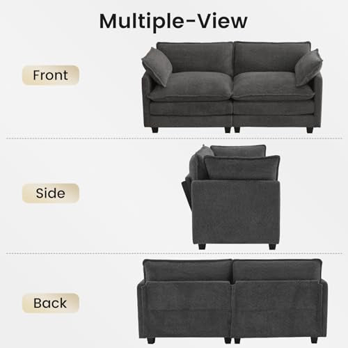 ROWHY 78" Cloud Loveseat Couch, Oversized Modern Modular Sectional Love Seat Couches, Comfy 2-Seater Deep Seat couches with 2 Throw Pillow for Small Spaces, Bedroom Apartment, Chenille Dark Grey | Breathable Fabric - color: Chenille Dark Grey, size: 2 Sea