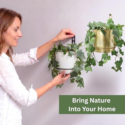 Self-Watering Gold Wall Planters Indoor (5.9 inch) | Metal Wall Vase, Wall Hanging Planter, Wall Plant Holder, Plant Hanger, Hanging Planter, Wall Plant - color: Gold
