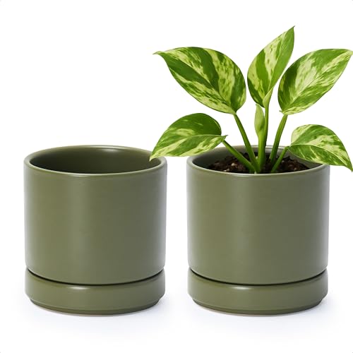 D'vine Dev 2-Pack Ceramic Pots with Saucers, Olive, 4.7 in, 94-V-B-J | Modern Cylinder Design, Glazed Ceramic, Drainage Hole & Saucer Included, High Temperature Fired, Elegant Home Accent - color: Olive, size: 4.7 Inch